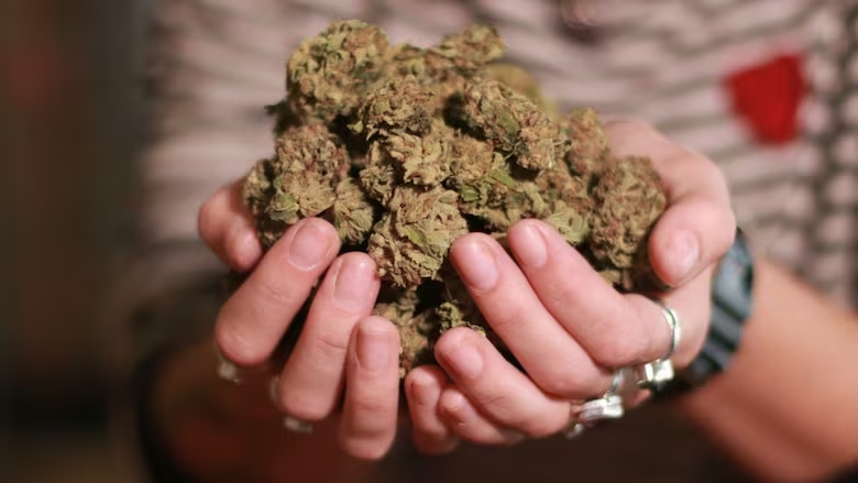 Cannabis Delivery Long Island