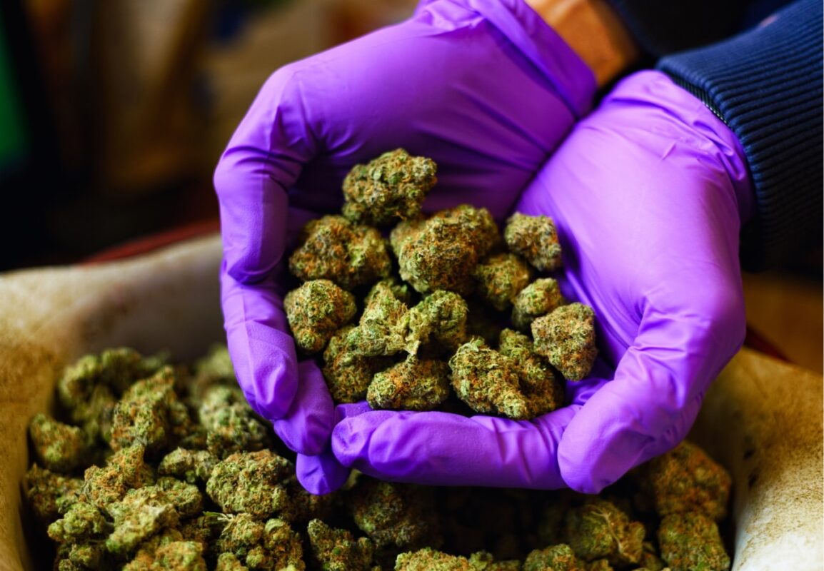 Weed Delivery Colorado