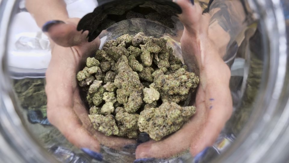 Weed Delivery in Ohio